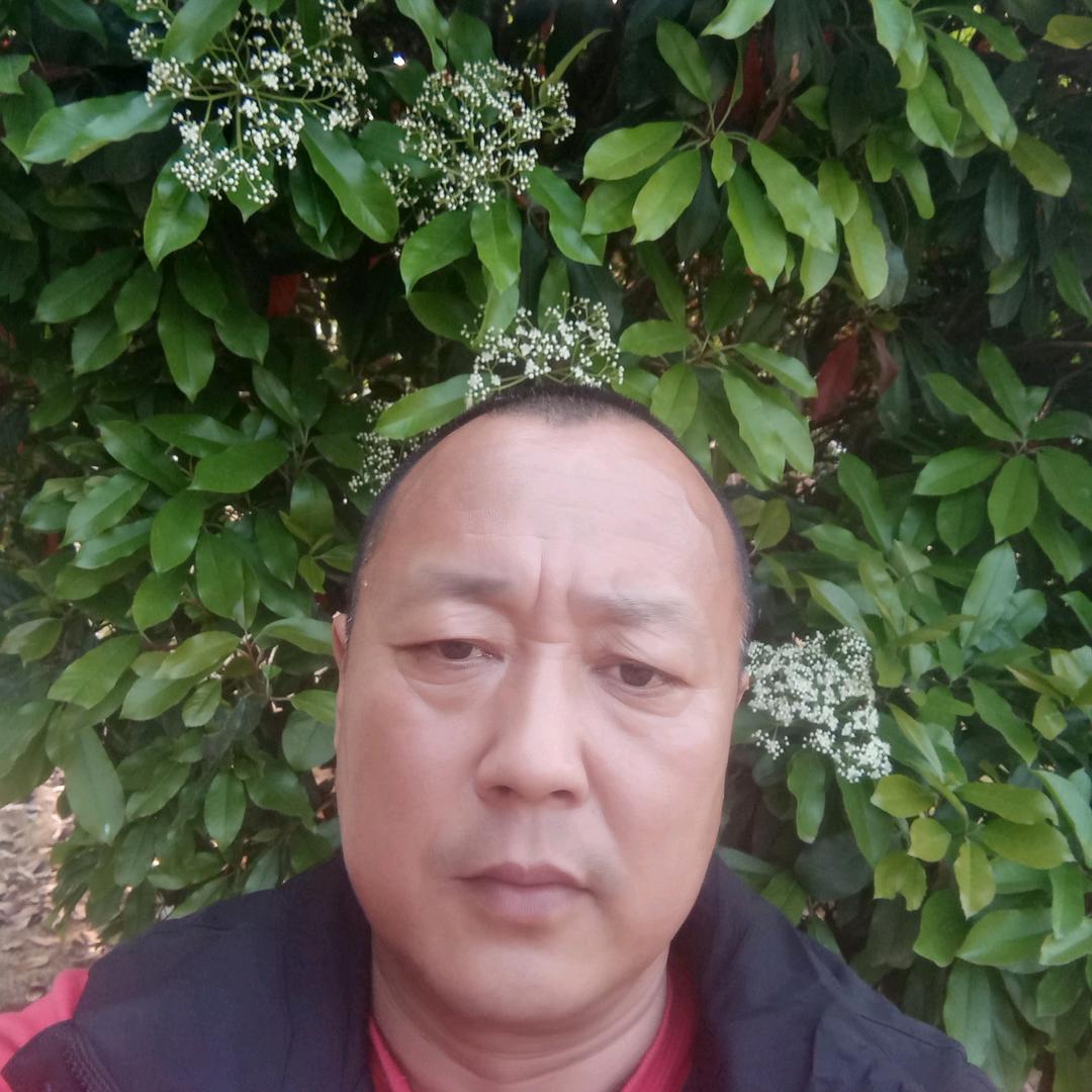 爱拼……才会赢，