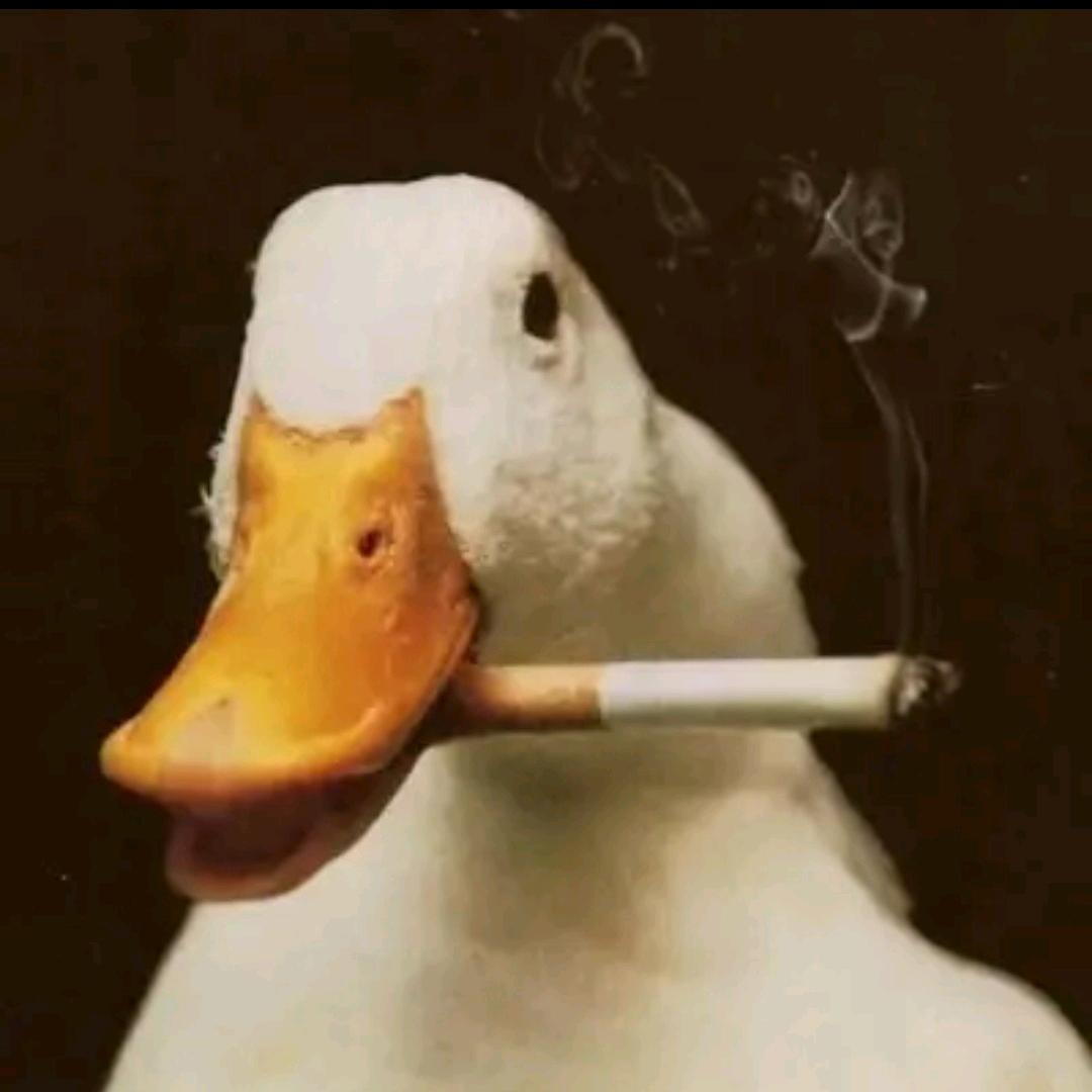 遇见有喜