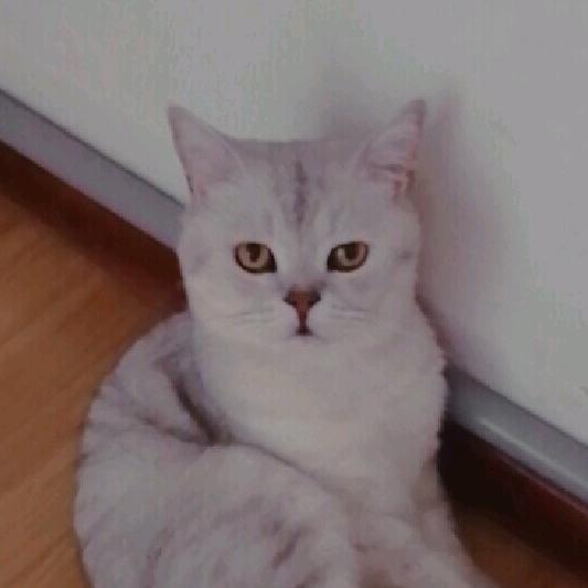 敏24716