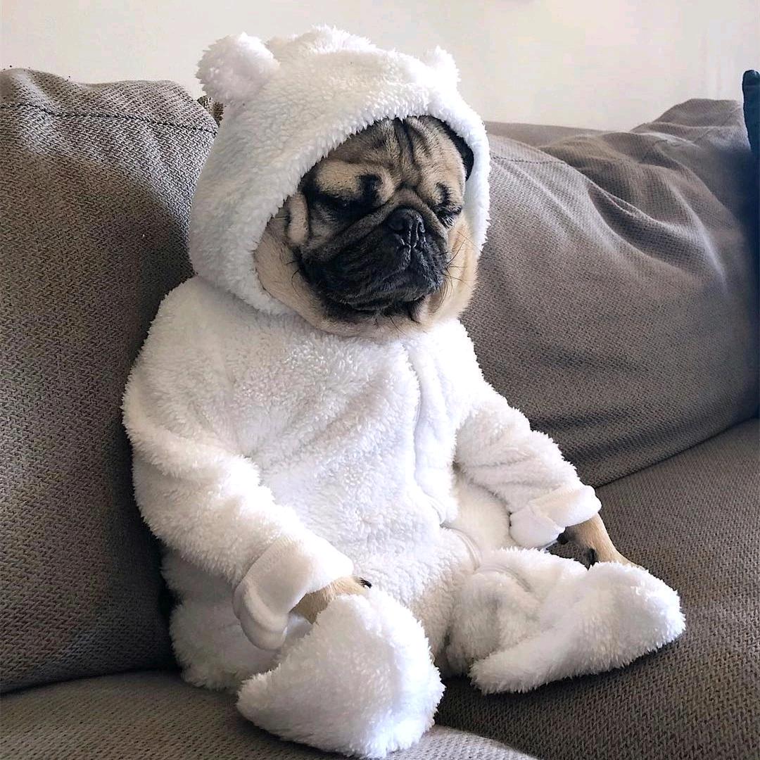 ♌️ Tsering Lhamo💤