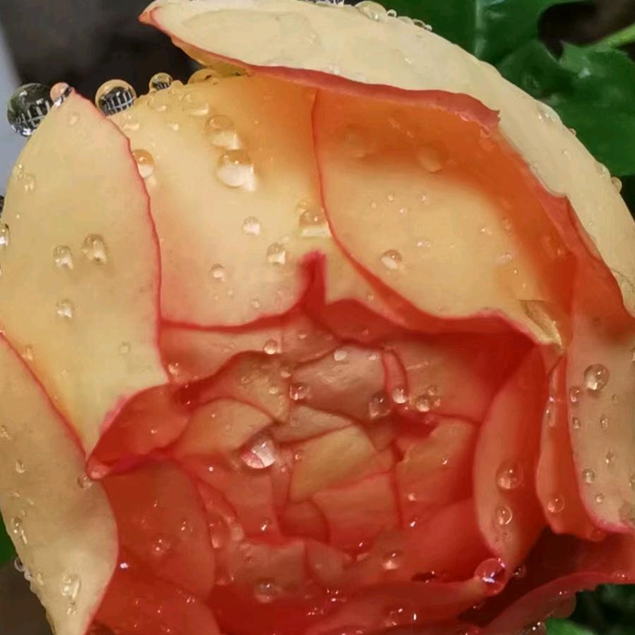 快乐！你我他！