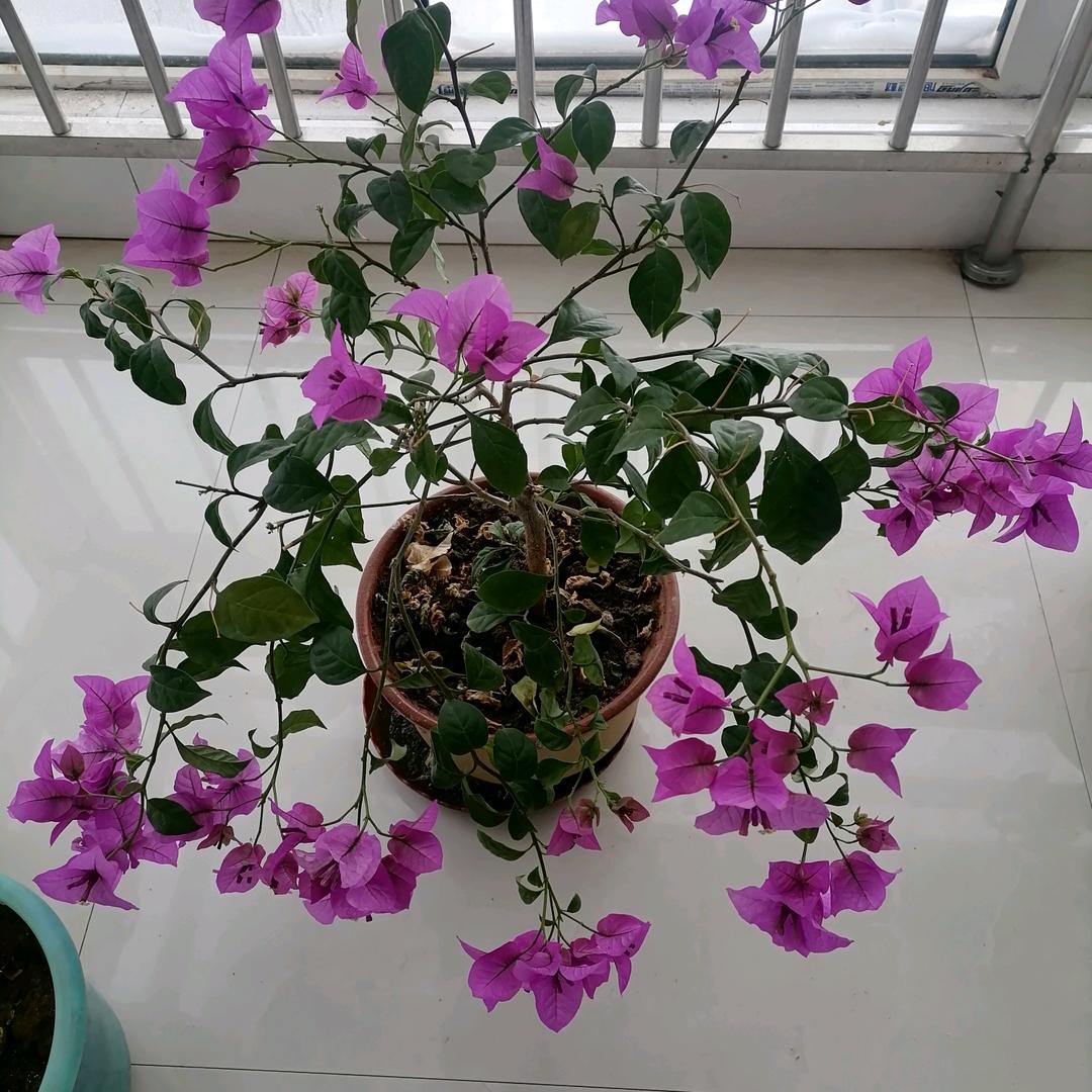 嗯😊