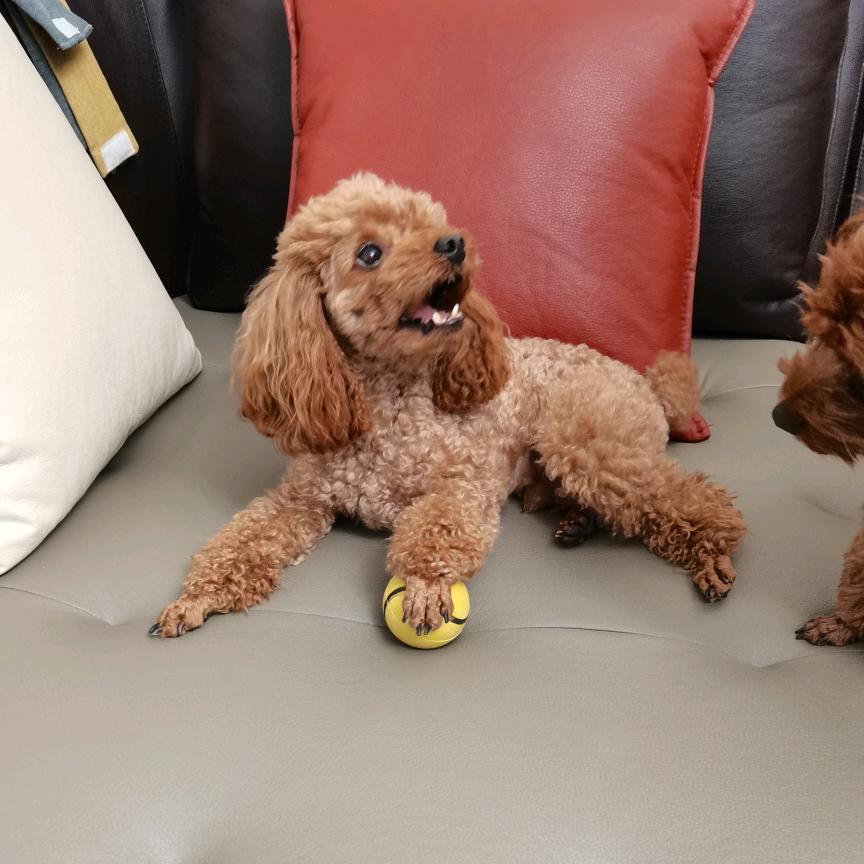 🕊ღ᭄ꦿ꯭屿你ঞꦿ᭄💞🕊