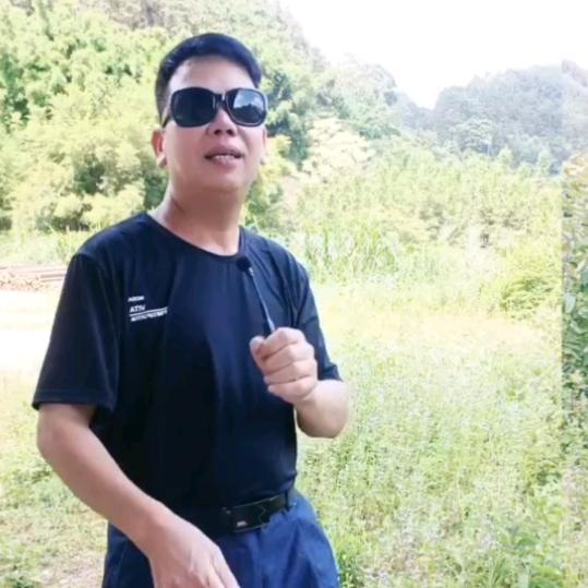广桂N