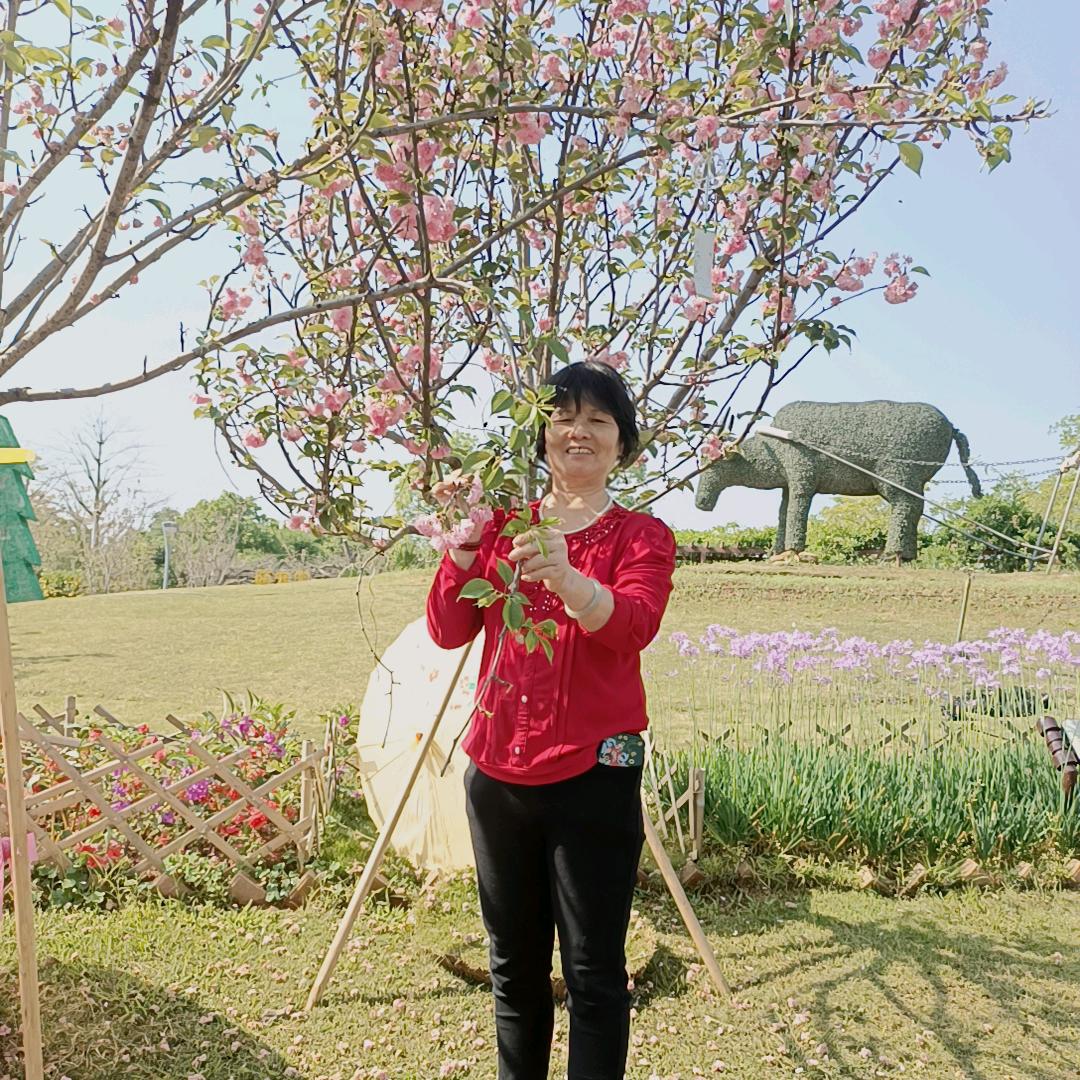 开心女士