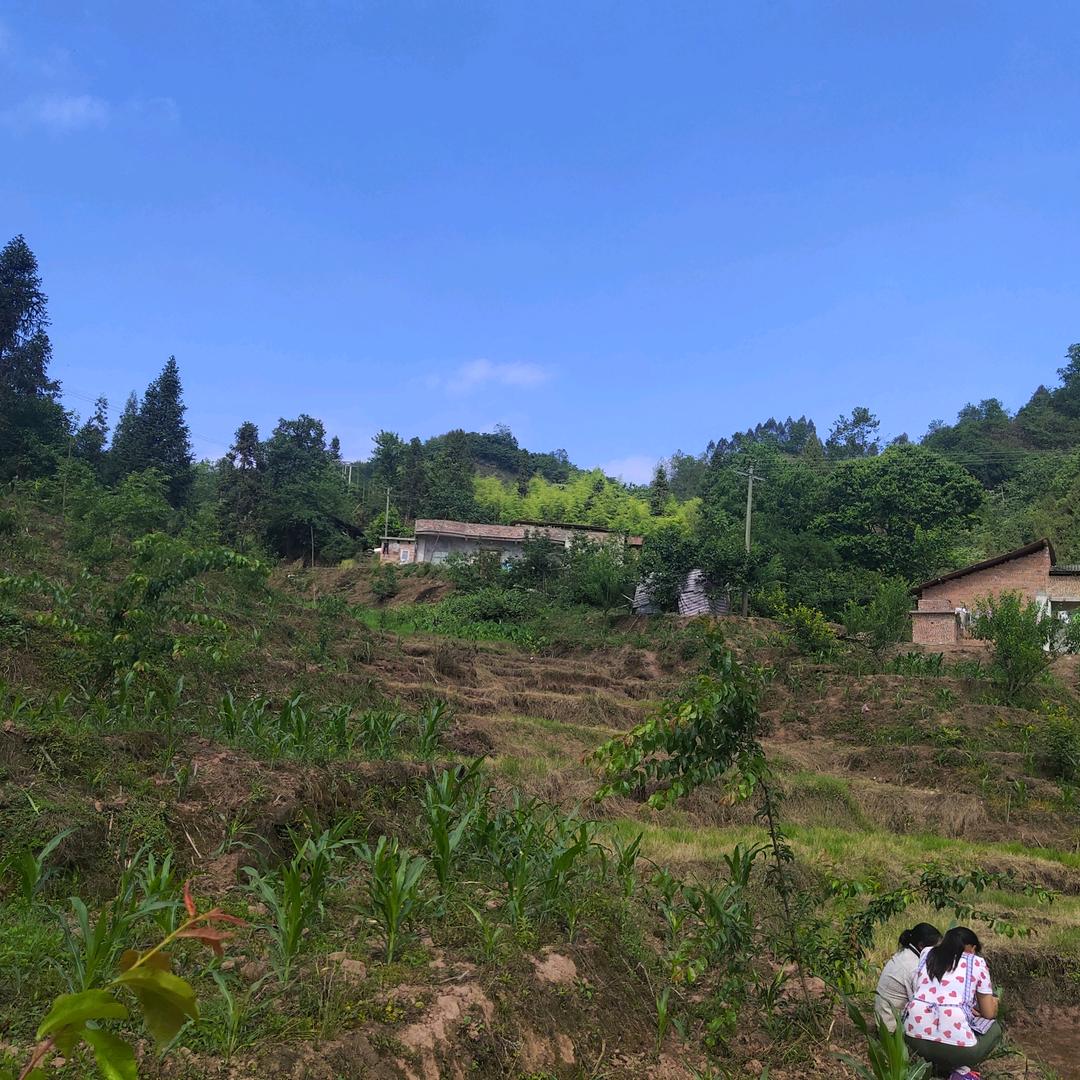 忘记一切从头再来