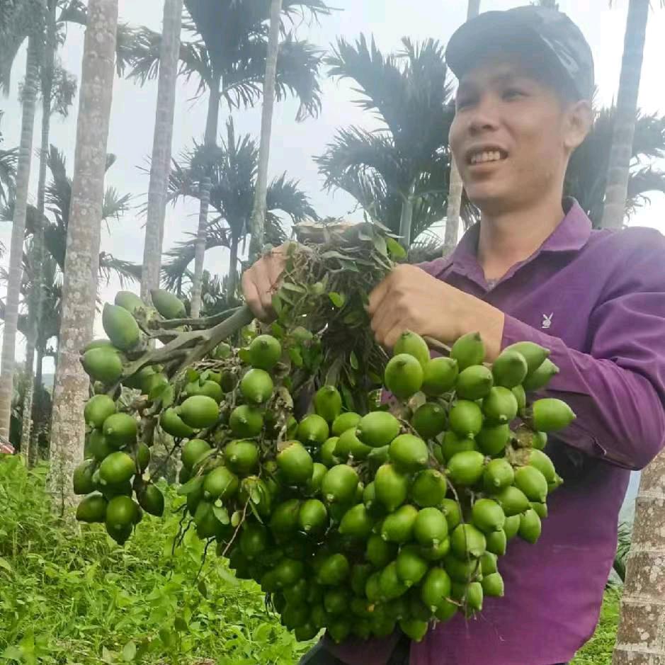 ：໑ຼₒ₂₃ღ᭄搞钱要紧🕊꧔ꦿ᭄