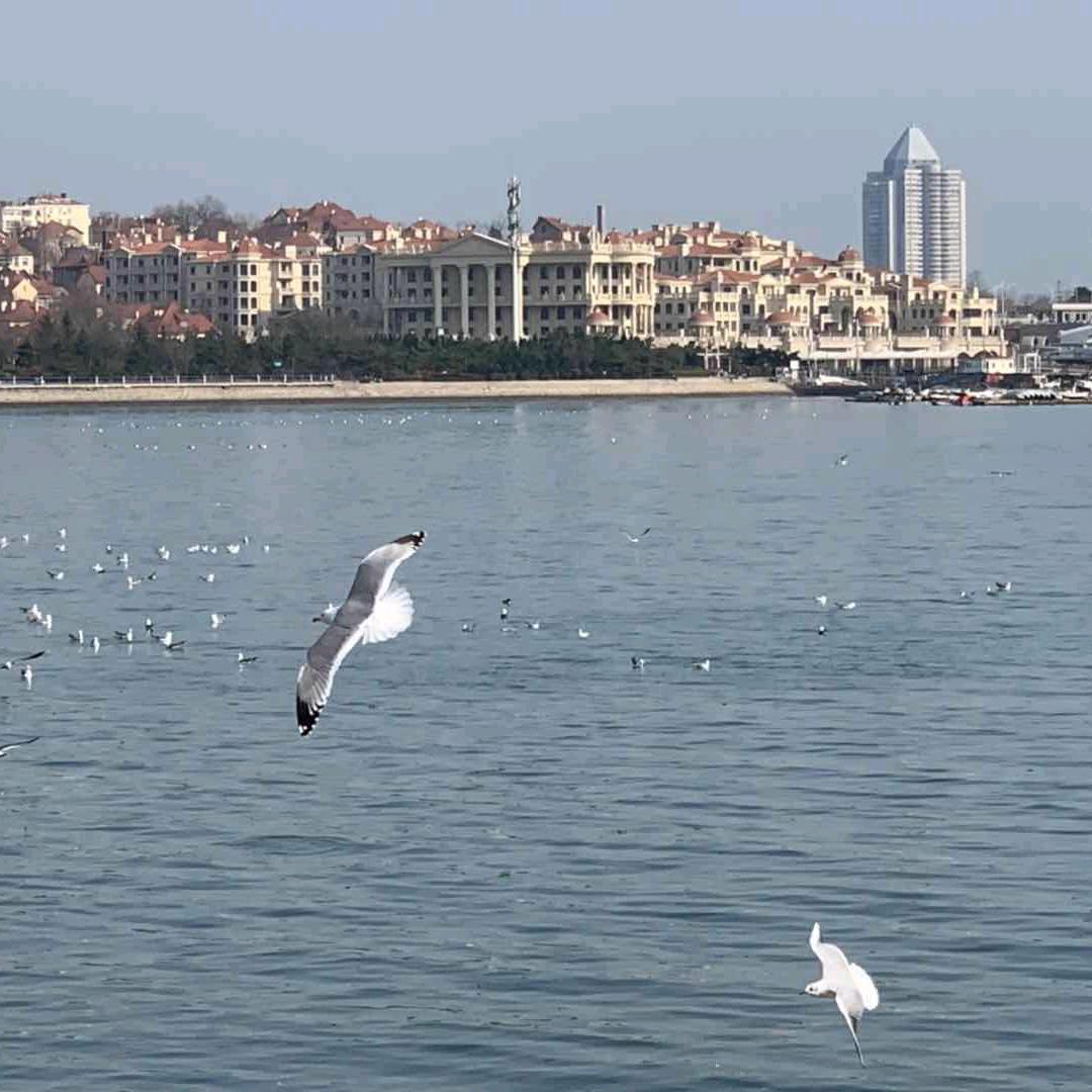 酒水一条龙服务(蒋金火)