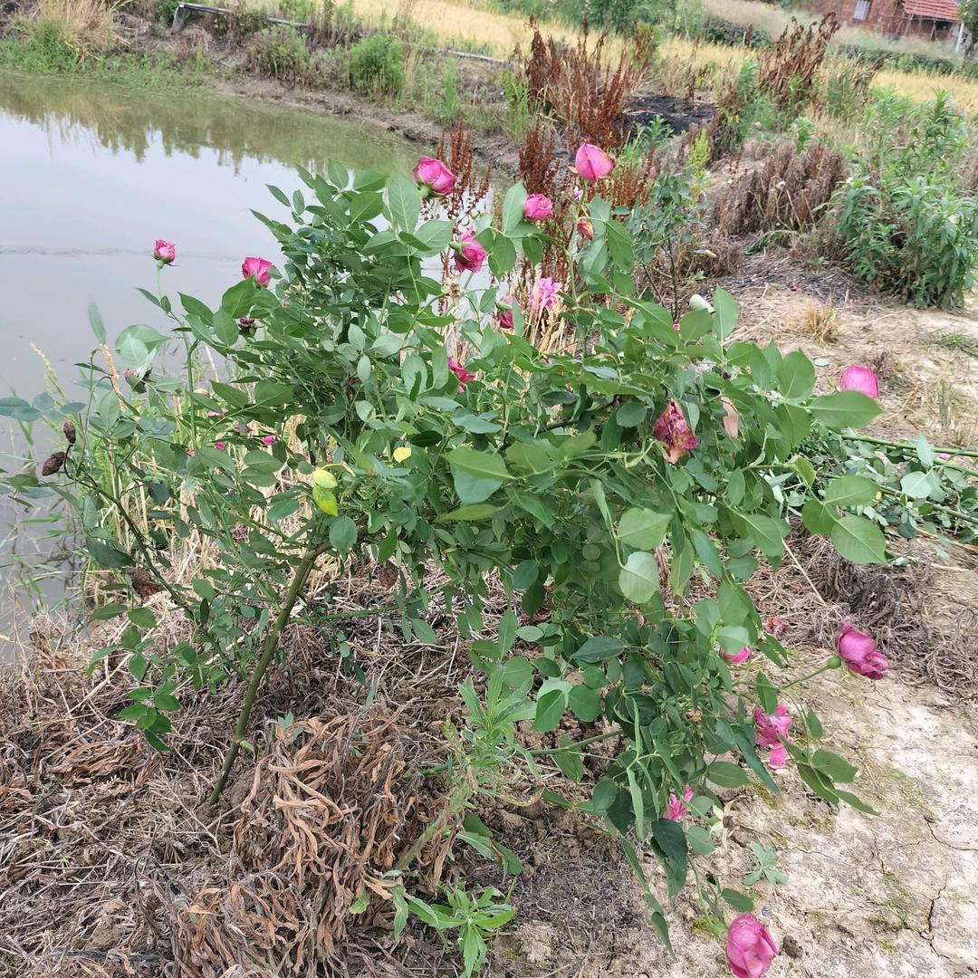 注定是你