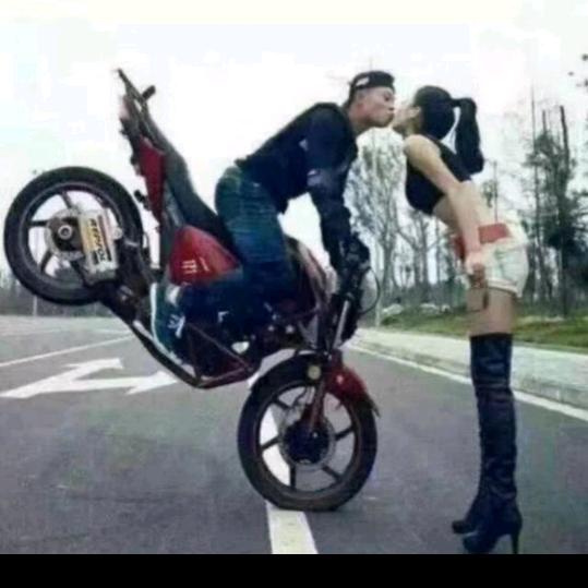 北方的狼