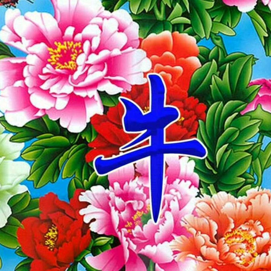 老牛爱锣鼓
