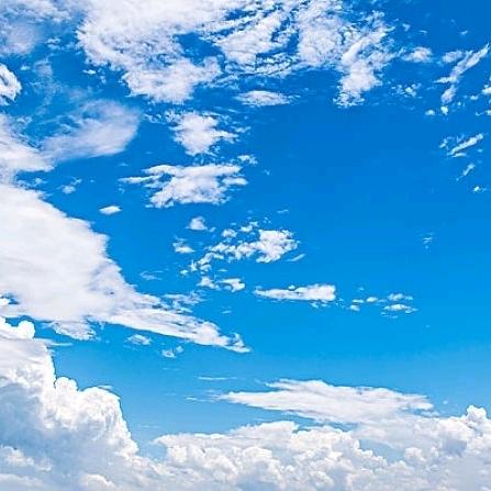 林寻终日只为夕