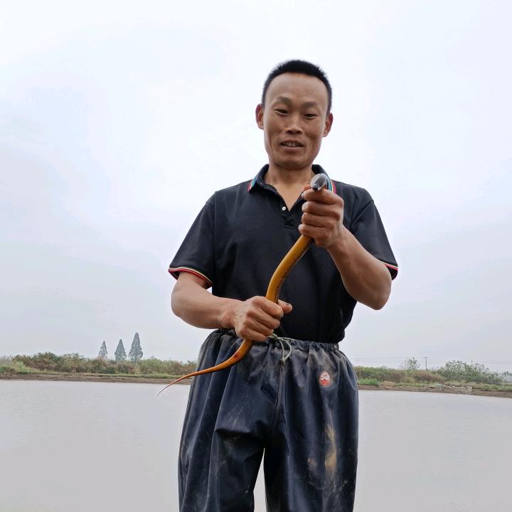 洪湖远哥