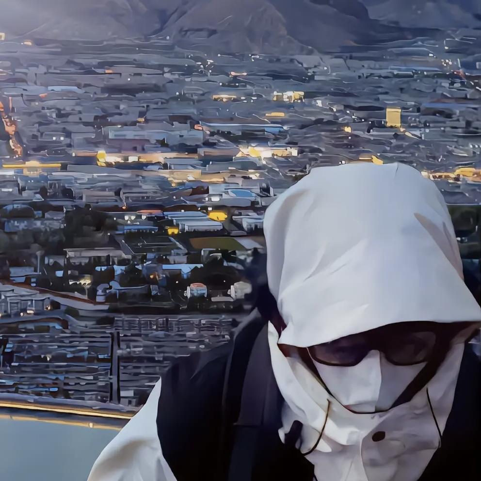 悟已往之不谏(不交手机版)