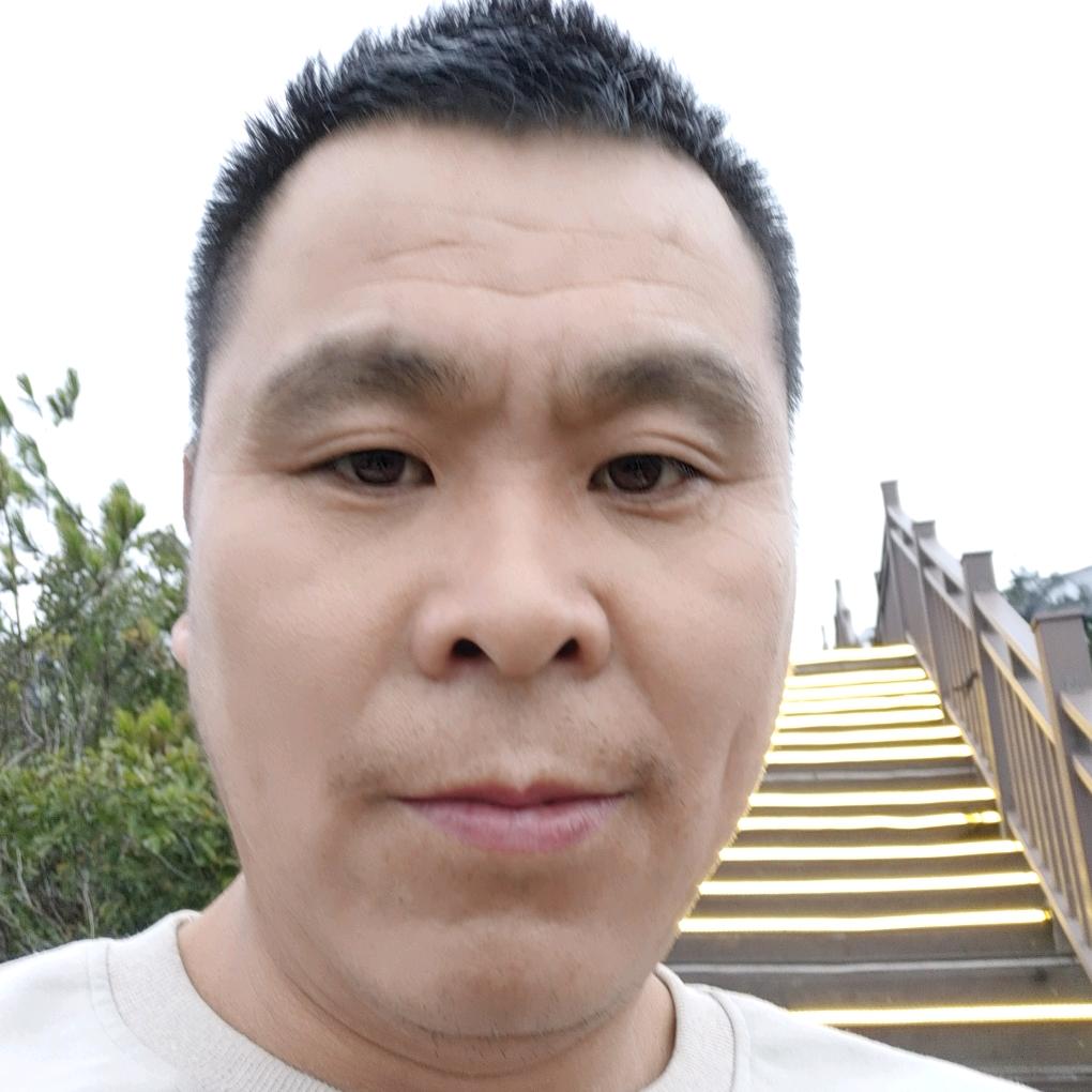 脐橙李
