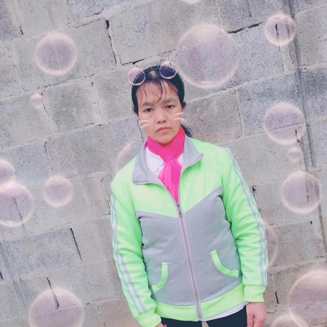 杨之之