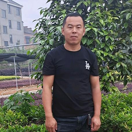 王磊