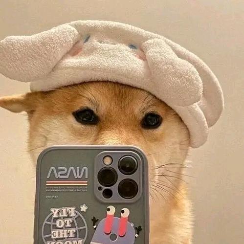 鲁潇洒
