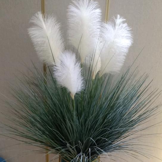 ╭☞( 灿烂辉黄)╭☞