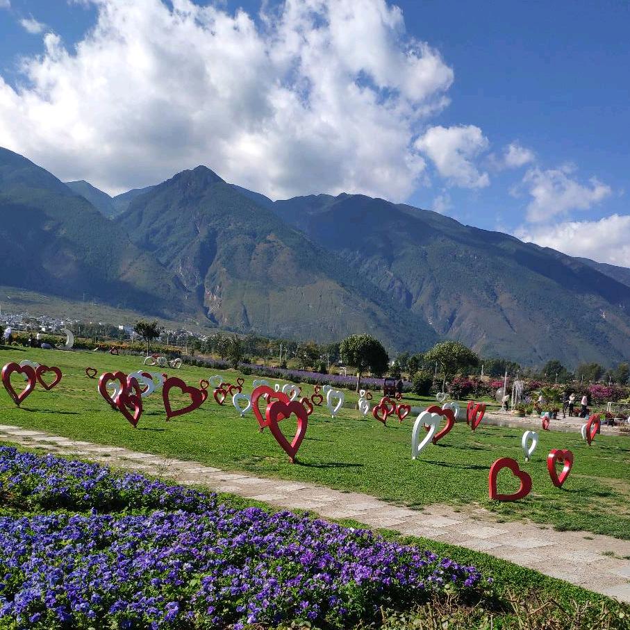 云里雾里[团购达人]