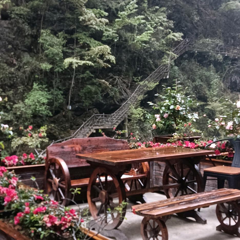 寒冬梅花开