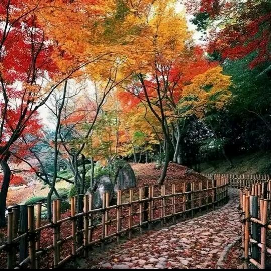 随遇而安