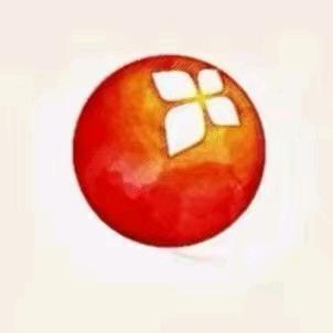 壮乡田阳