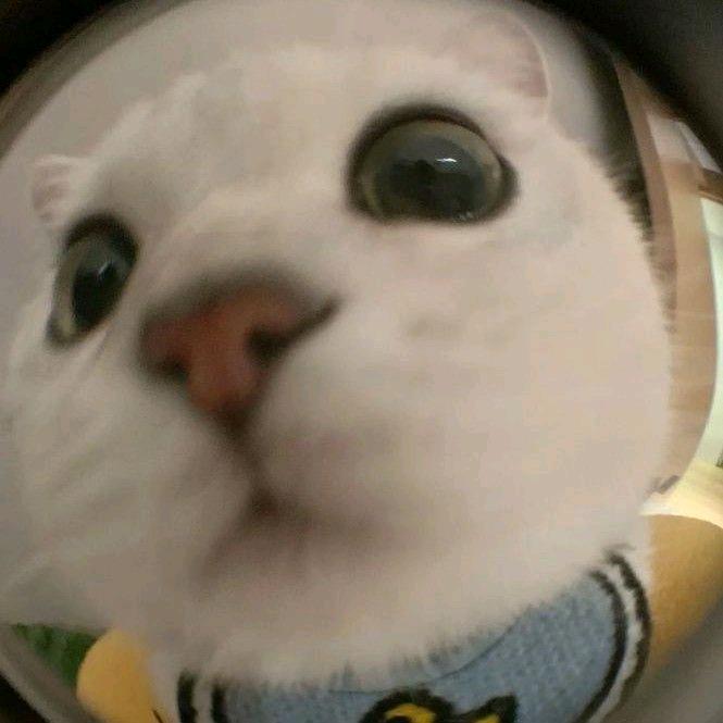 啊辰