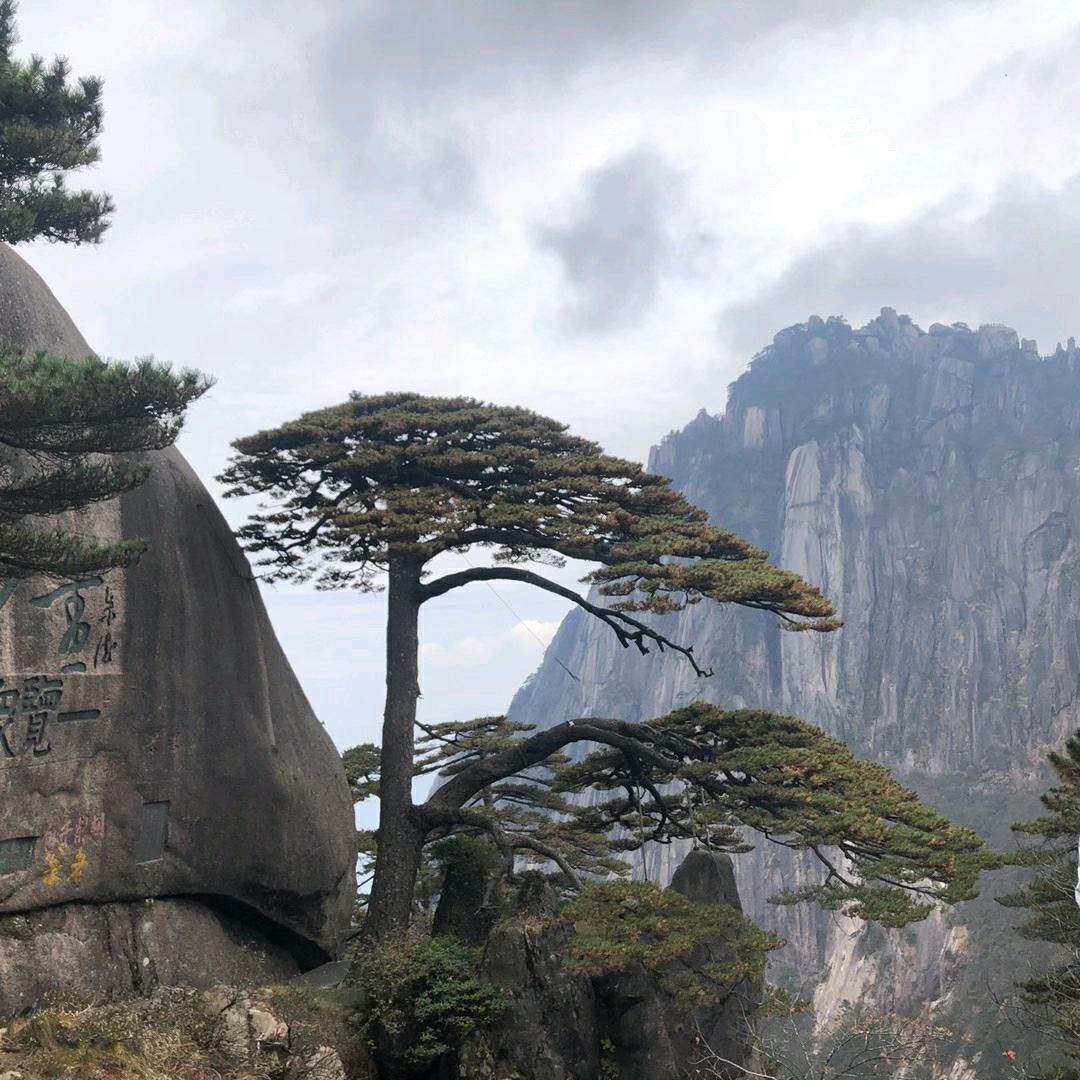 长红
