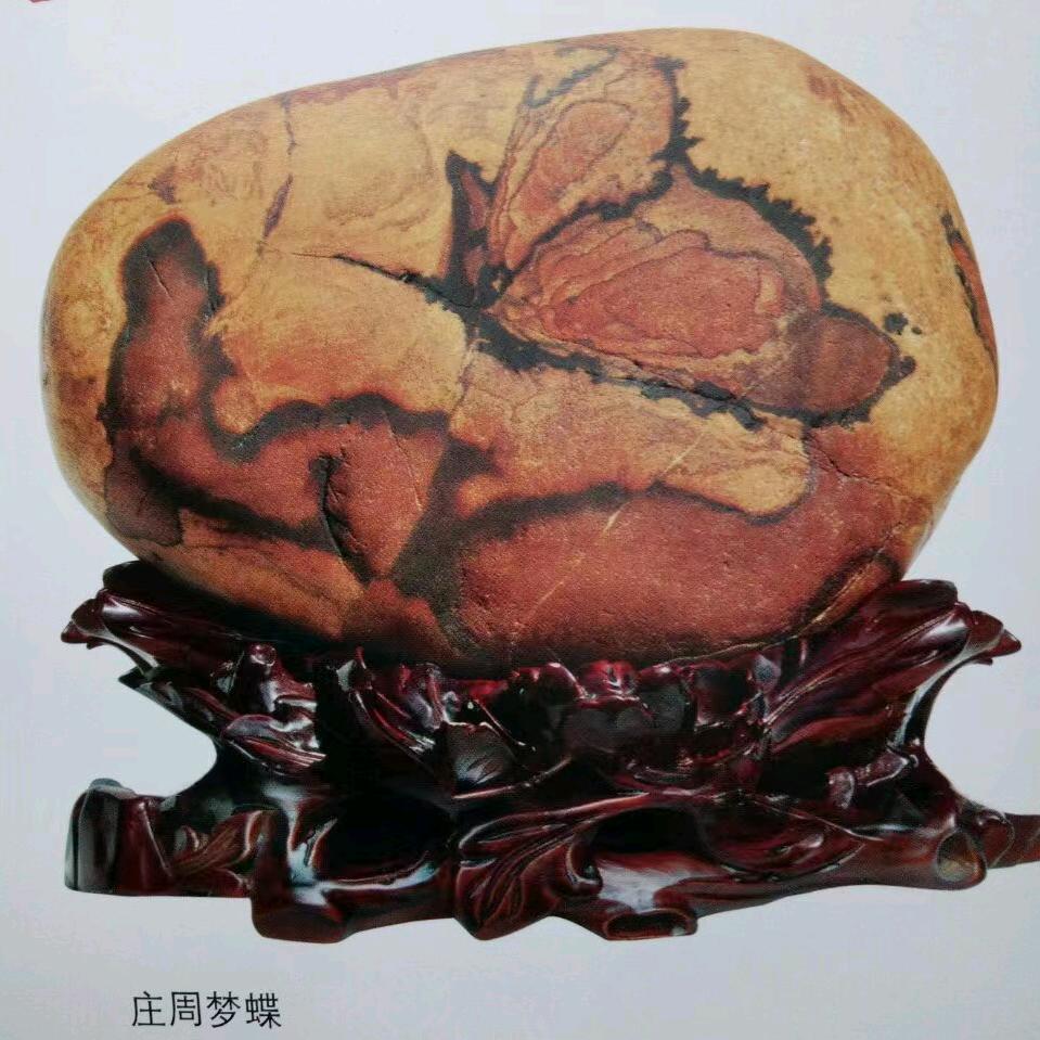 石韵文艺