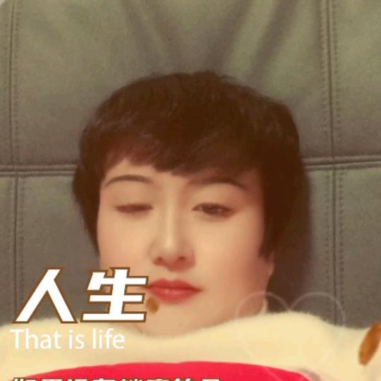 人生如梦