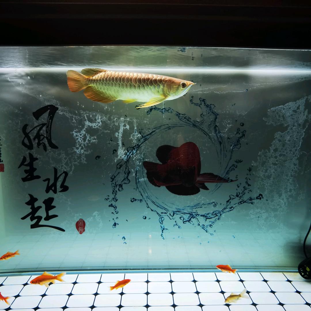 富泉财顺