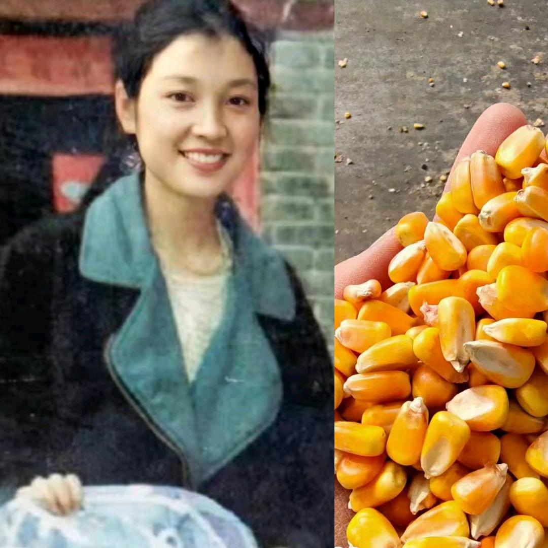 封丘县边彦青农产品有限公司