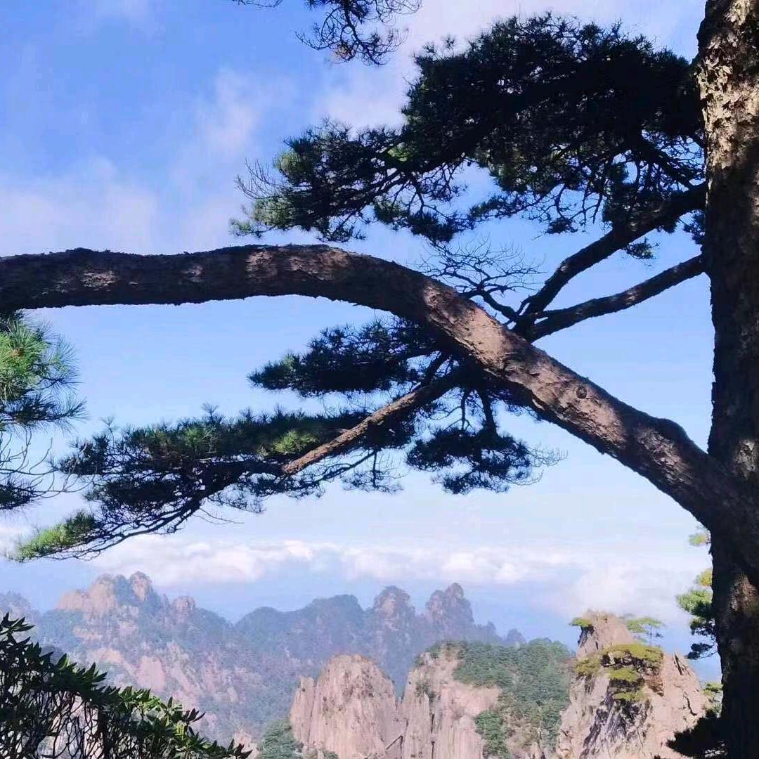 幸福就这么简单，开心就这么快乐。