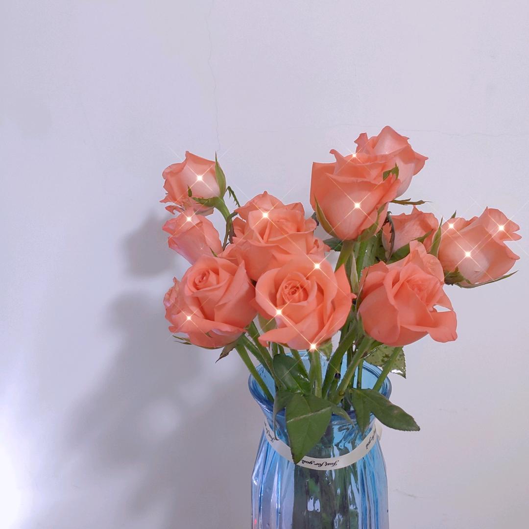 是欣欣吖