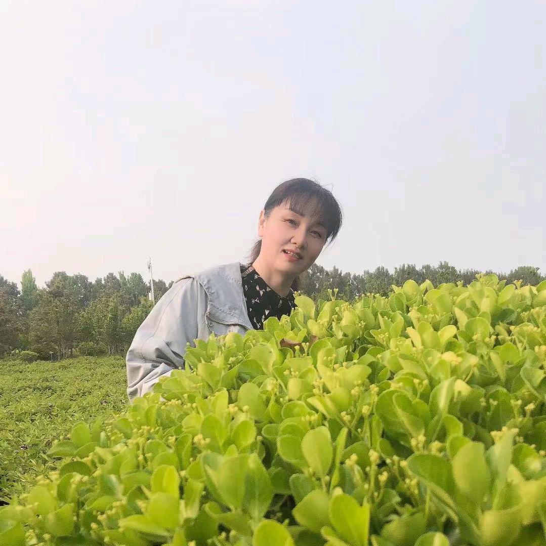 爱你就要说