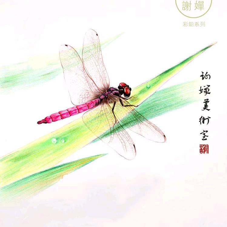 温室小公主