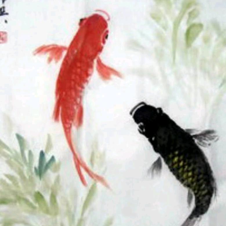 洪建