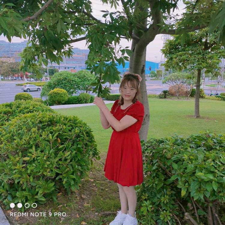 秀秀
