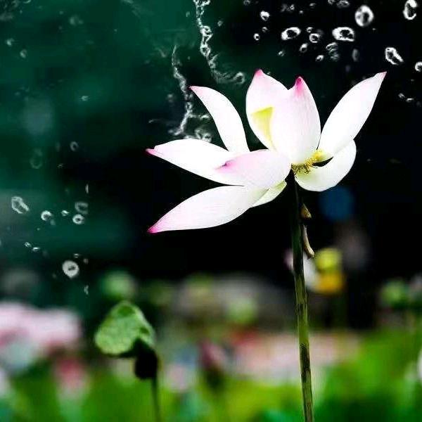 紫气东来