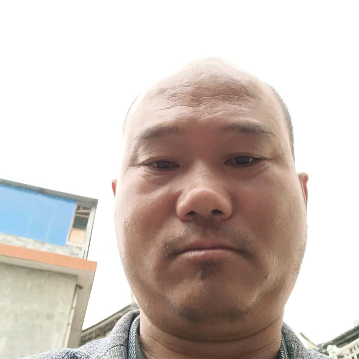 到处挖