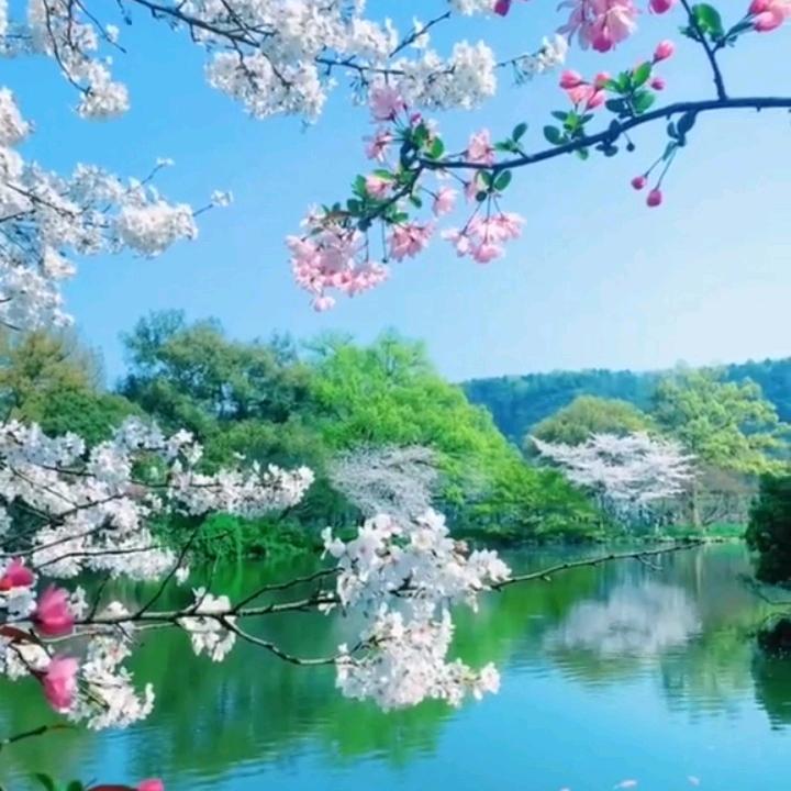 用户1009511286872