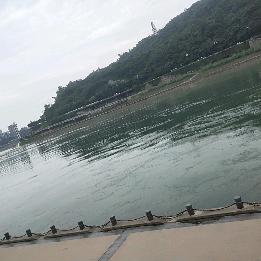 一骑红尘妃子笑