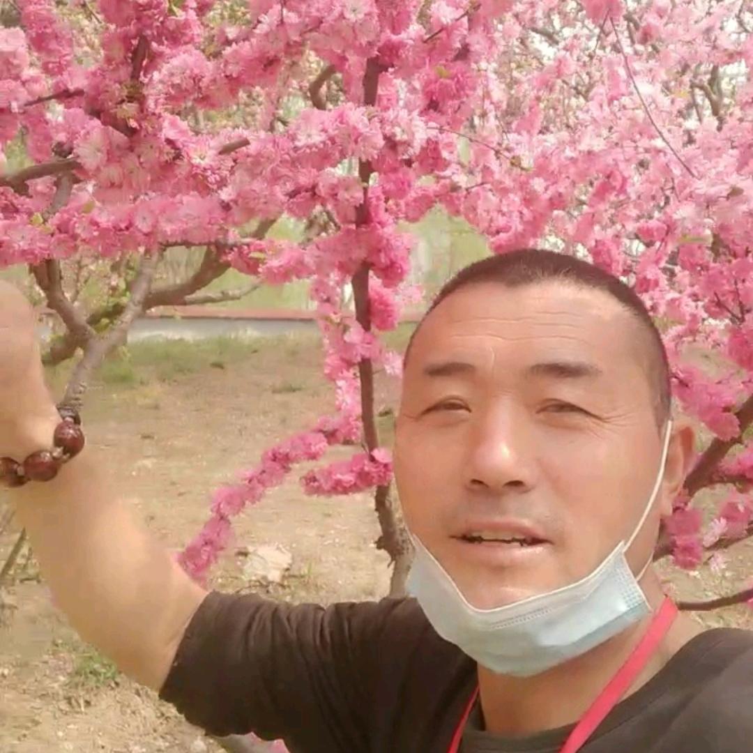 柘城奇鹌养殖