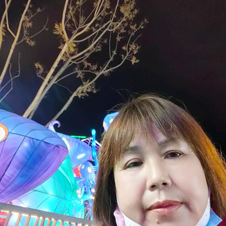 玫瑰花开