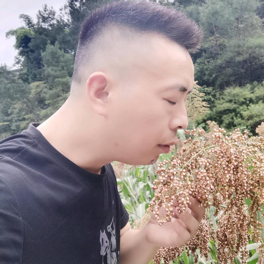 不催刘