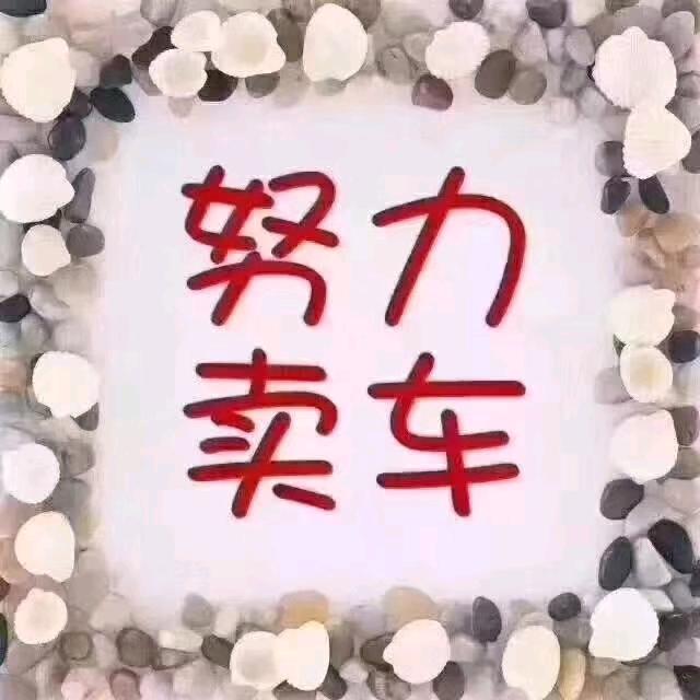 睢县卖车的小姐姐
