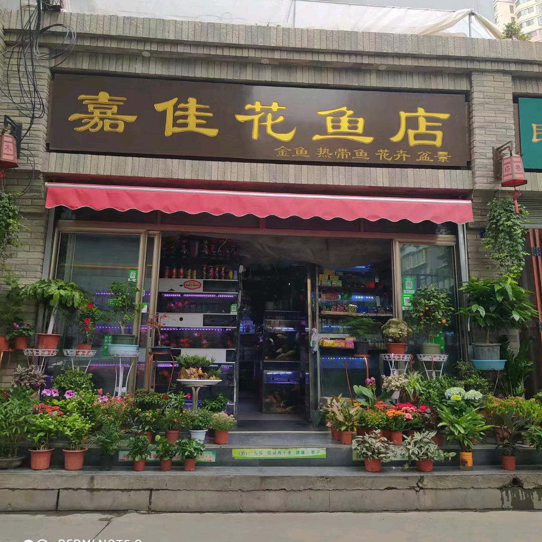 兰州城关区家佳园花鱼店