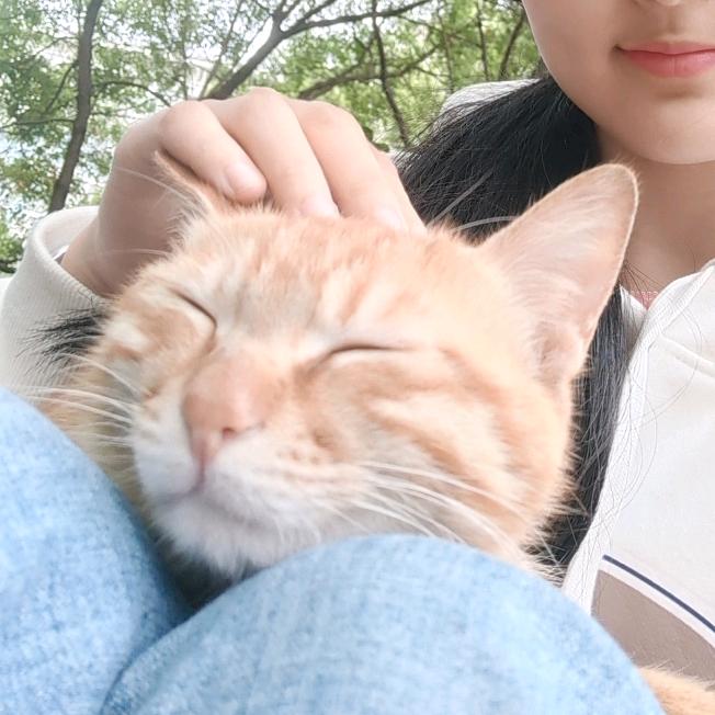 整点喵喵╰(*´︶`*)╯