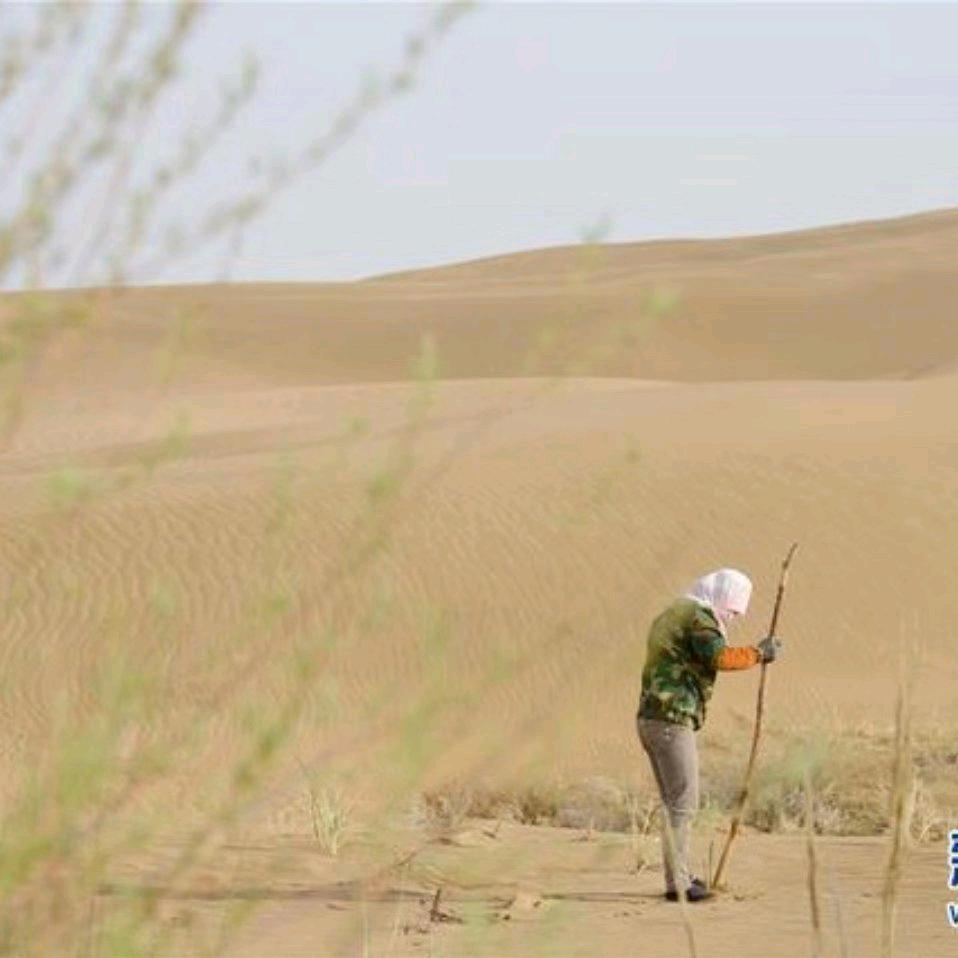 丶丶丶丶丶谈话